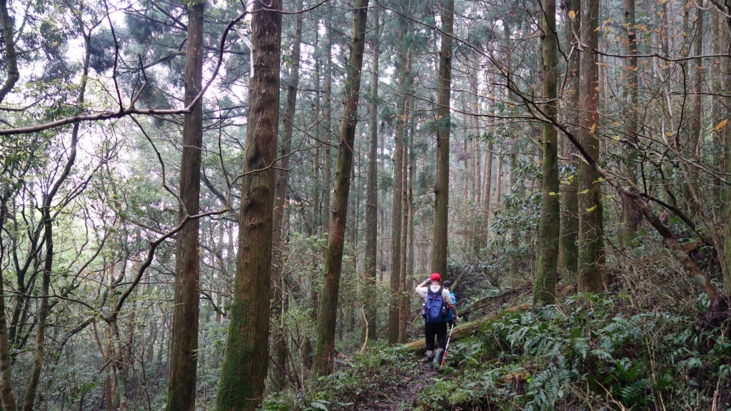 【新北/三峽】夢幻組合:組合山-雲森瀑布O型_34591