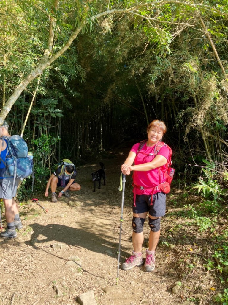 嘉雲南七連峰二尖山丶大尖山、馬鞍山、梨子腳山丶太平山、大巃頂西北峰、大巃頂_1866593