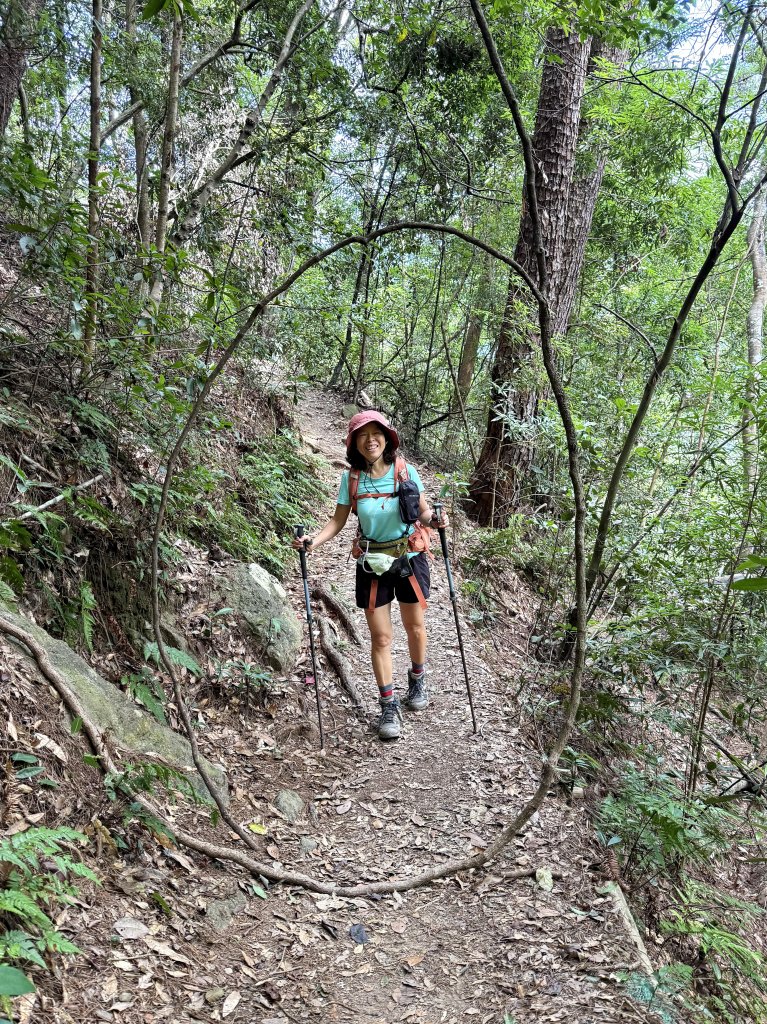 唐麻丹+蝴蝶谷O繞_2887842