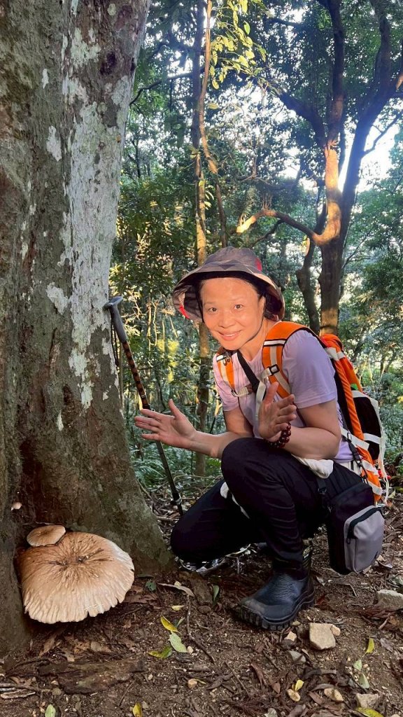 🌈11/9(日)高島縱走~高台山連走島田山山徑✨FB：熊熊趴爬走🌈_2932507