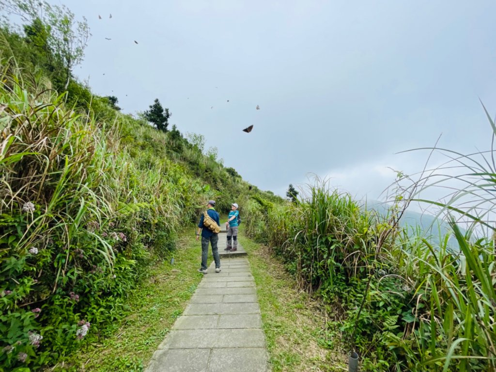 淡蘭中路（暖暖車站-十分車站）_1685458