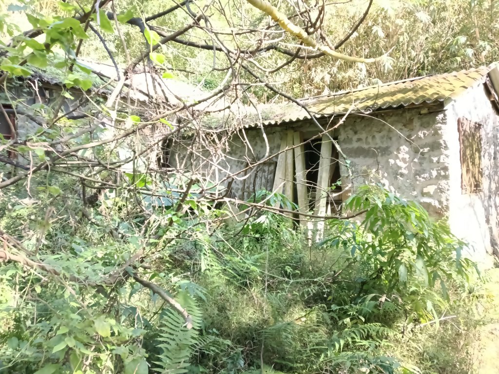 北投區清天宮步道+面天山+向天山+向天池+興福寮步道+頂青礐古道P字走_2960118