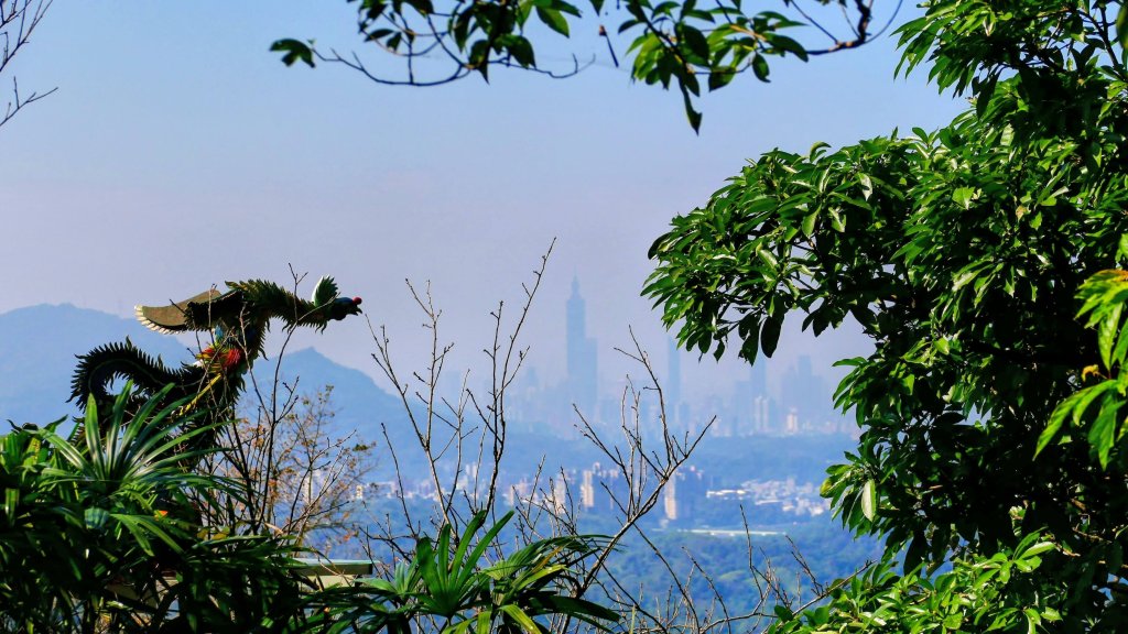 水返之城_2982942