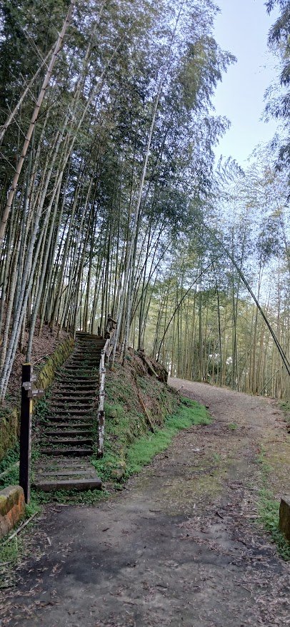 2025 1/27 石壁山_2700007