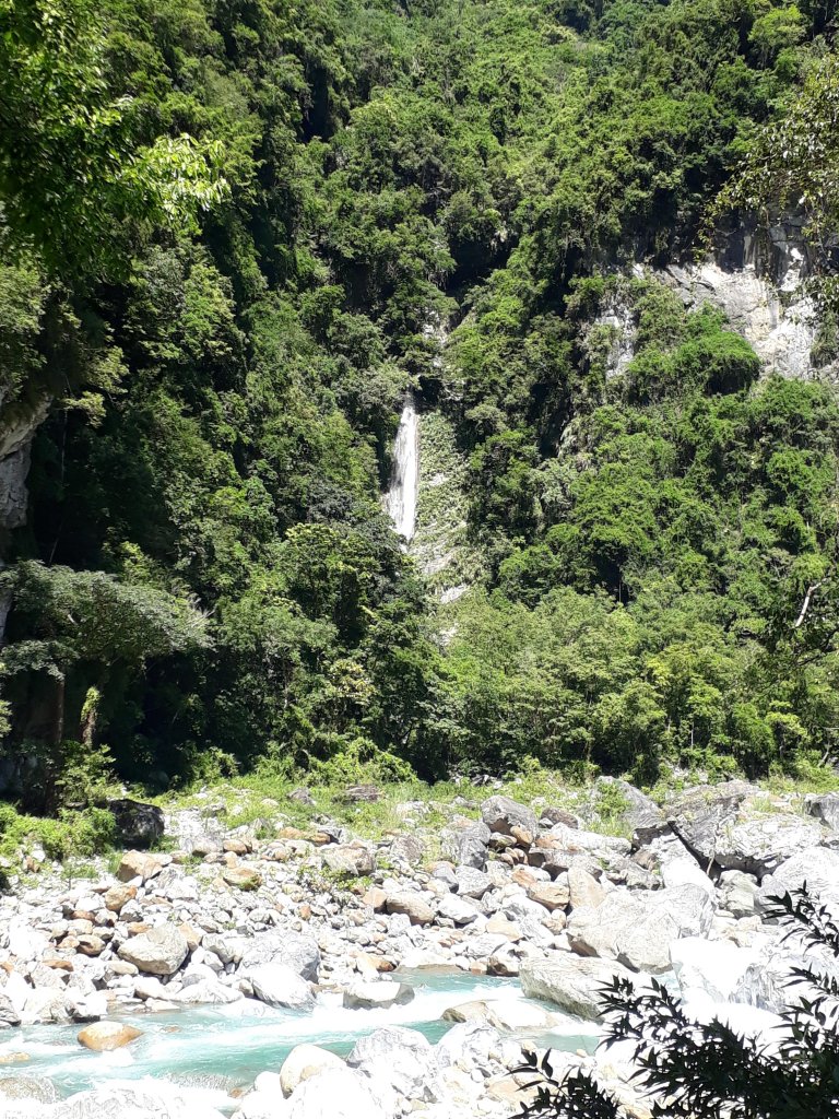 砂卡礑步道_446865