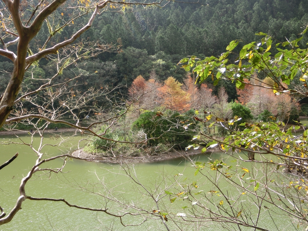 棲蘭山莊．神木園．明池_93611