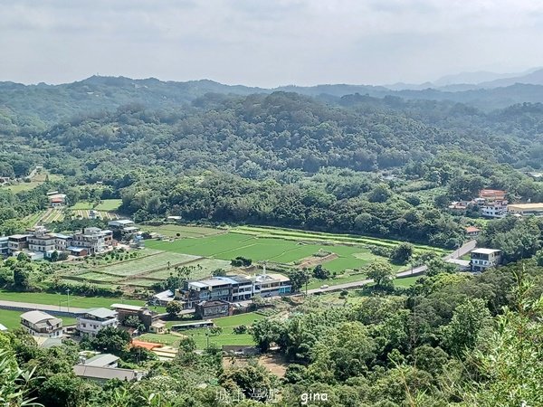 【苗栗造橋】適合親子悠閒踏青。劍潭古道_2533469