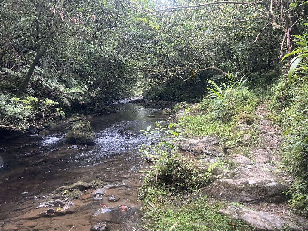 [淡蘭古道] 2024_0623 中路第五段-烏山越嶺古道封面圖