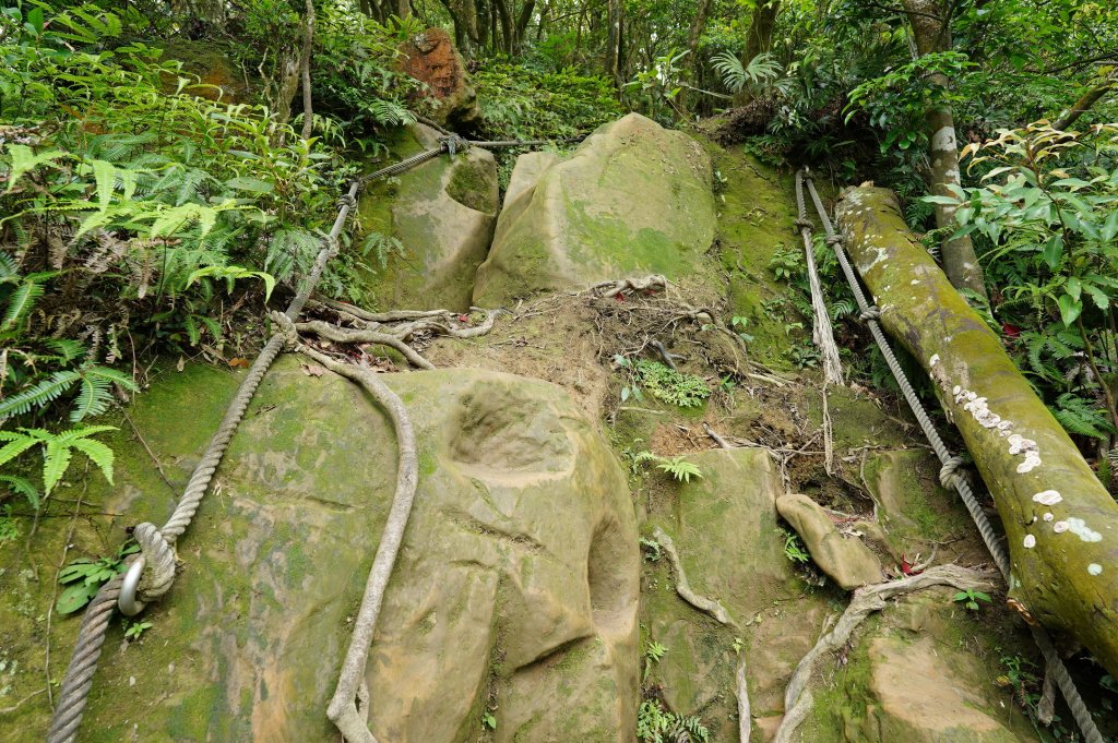 臺北 文山 指南山、猴山岳、魚衡山、大前坑山、猴山坑山、祥光寺後山、金頭山_2774971