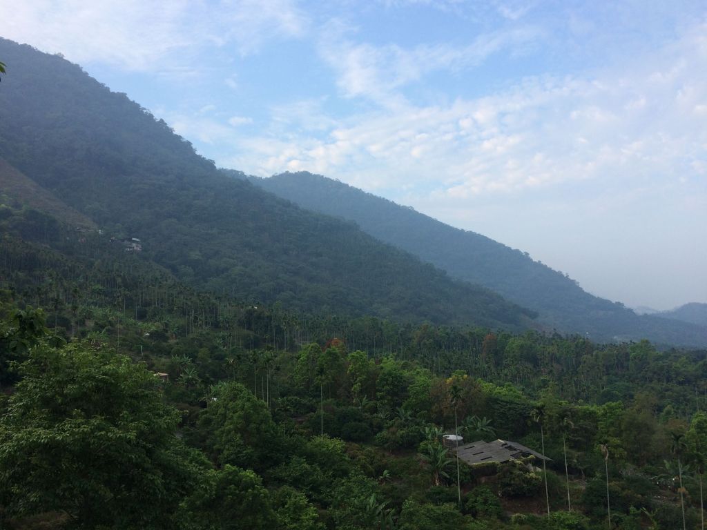 梅峰古道&獵鷹尖一線天&伍龍步道_316631