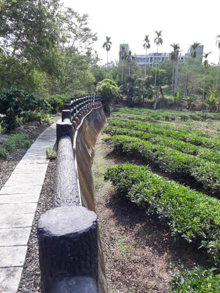 南投魚池澀水生態步道20190409_563504