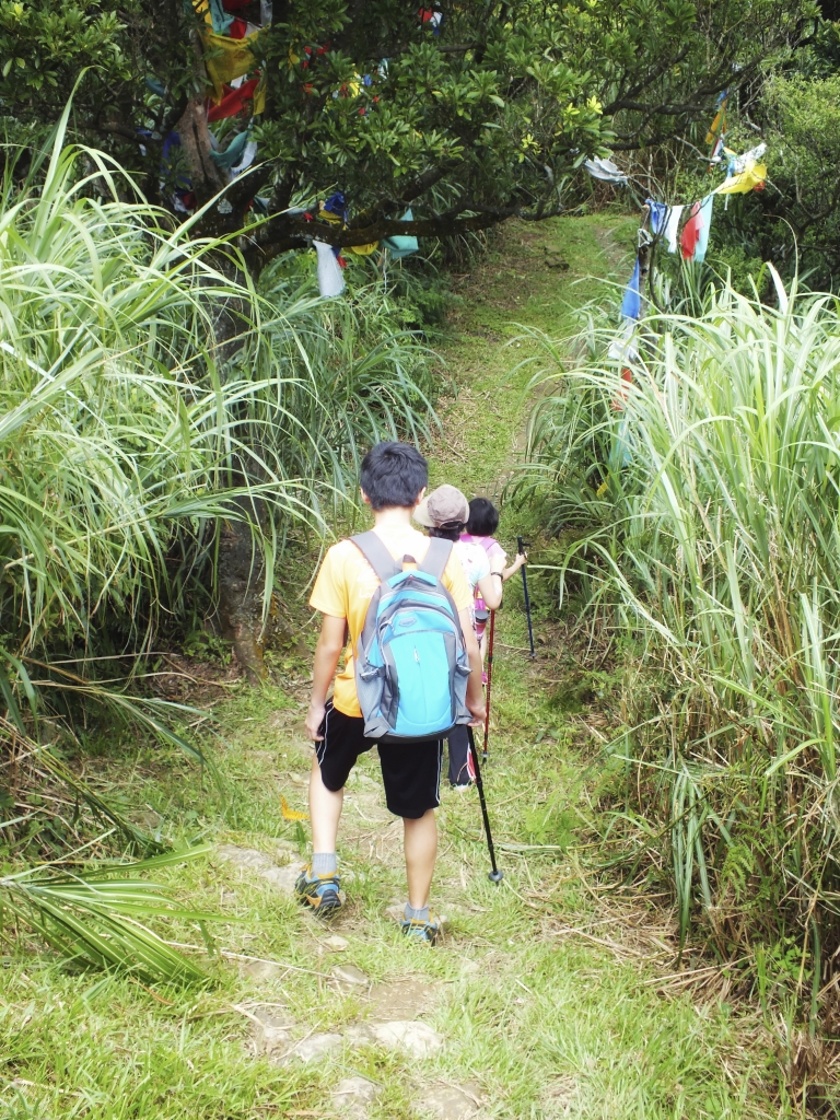 四分尾山----大尖山來回連走封面圖