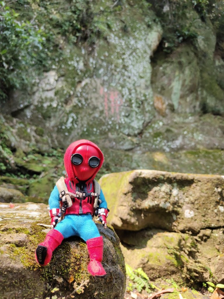 2023.04.13 大艽芎古道登溪洲山_2111586