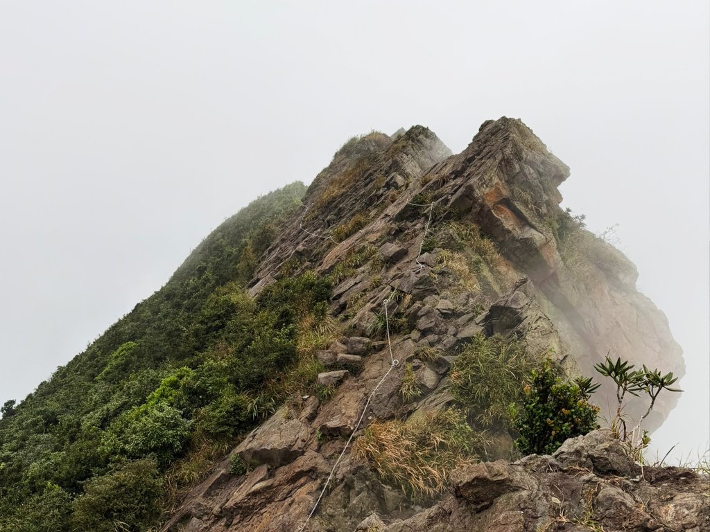 大鬼瀑布-劍龍稜-鋸齒稜-半屏山-茶壺山封面圖
