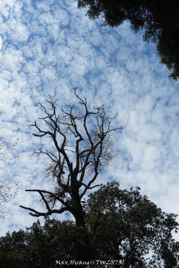 《台中》谷關七雄｜初登屋我尾山20170319_2890419