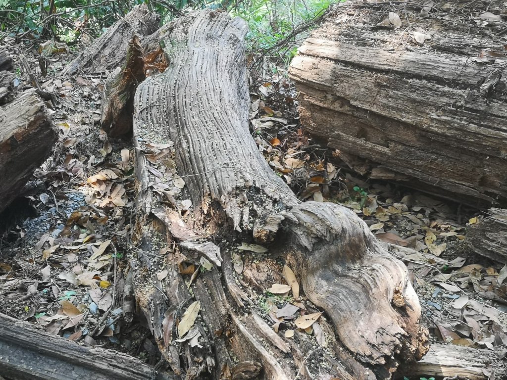 巴庫拉斯，七彩湖_1339155