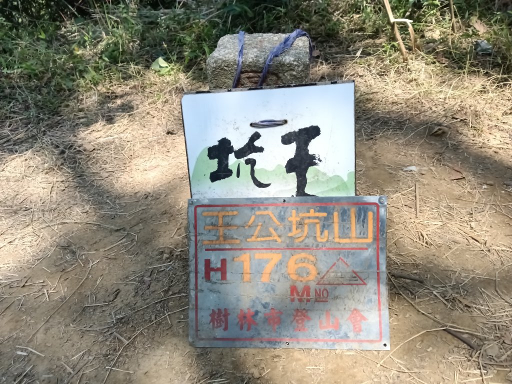 王公坑山血藤花_2746305