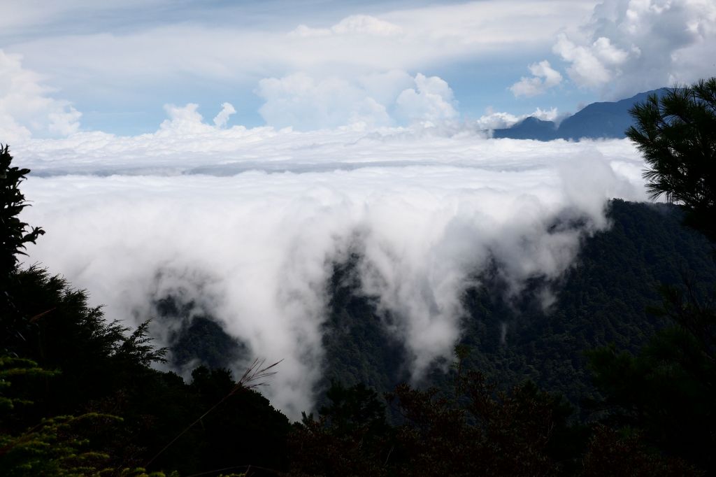 桃山獨走初秋_175031