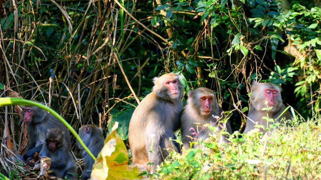 南化刣牛湖山封面圖