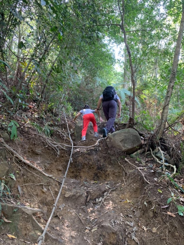 谷關七雄老六～白毛山_562555