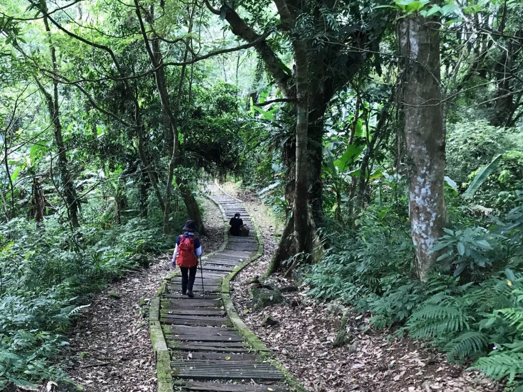 西邊飄雨東邊晴 花蓮鯉魚山_391376