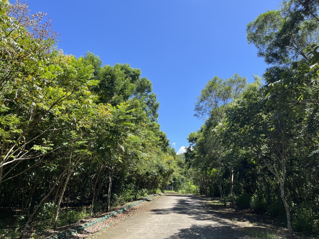 [屏步青雲 尋寶任務-04/10] 2024_0917 浸水營步道（前段）_2597883