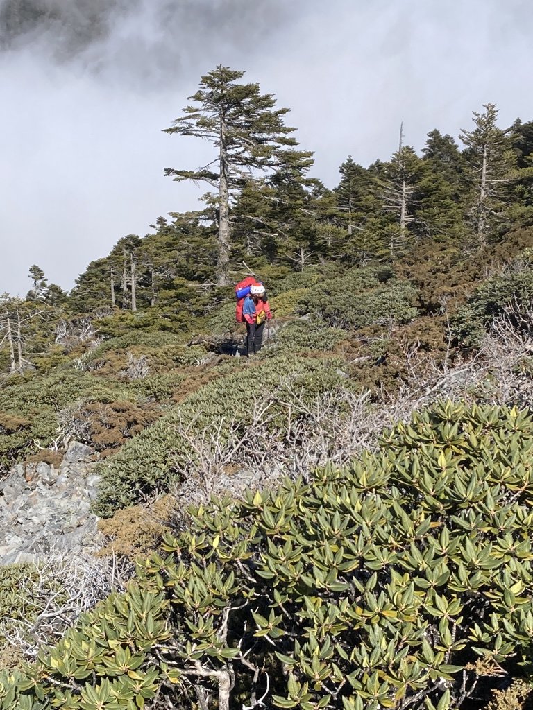 順撿甘木林之雪山西稜接志摩山稜線下小雪山林道_2012214