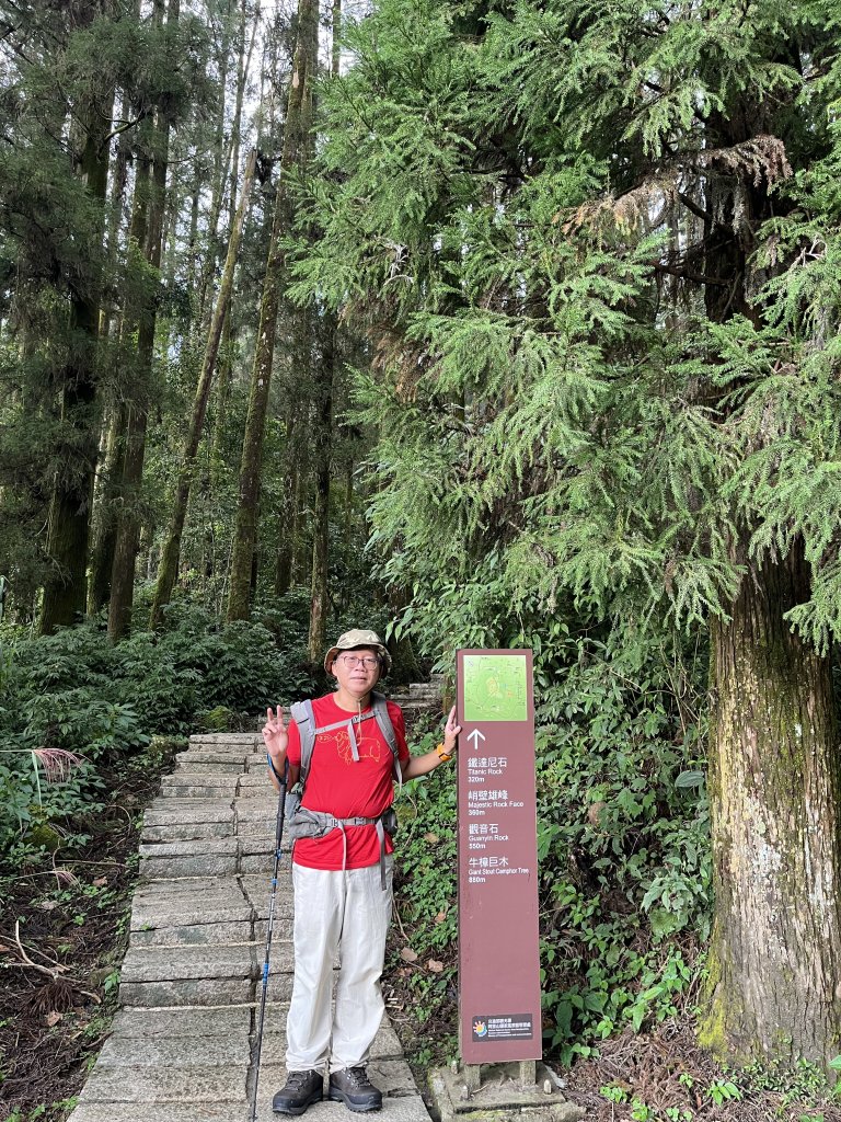 [嘉遊好步道．來嘉走走-04/10] 2024_1011 阿里山頂湖步道_2624667