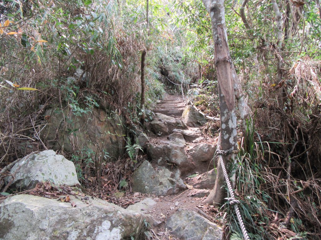 20200321-白毛山_886566