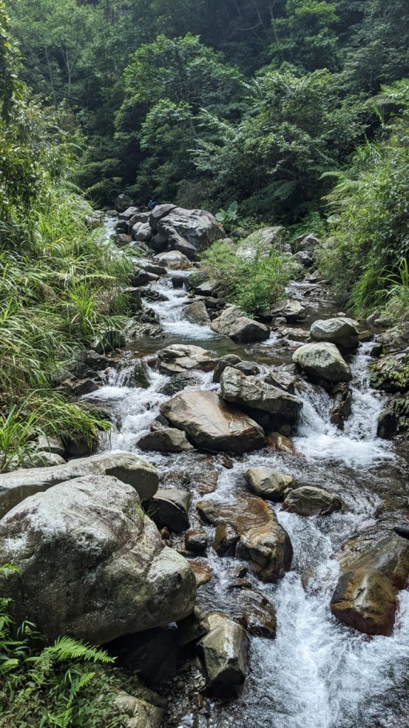 蝴蝶谷瀑布步道｜唐麻丹山登山步道 (松鶴部落上)_1900073