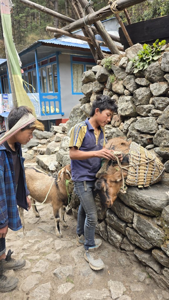20250411-20250428 尼泊爾EBC + Gokyo Lake_2778424