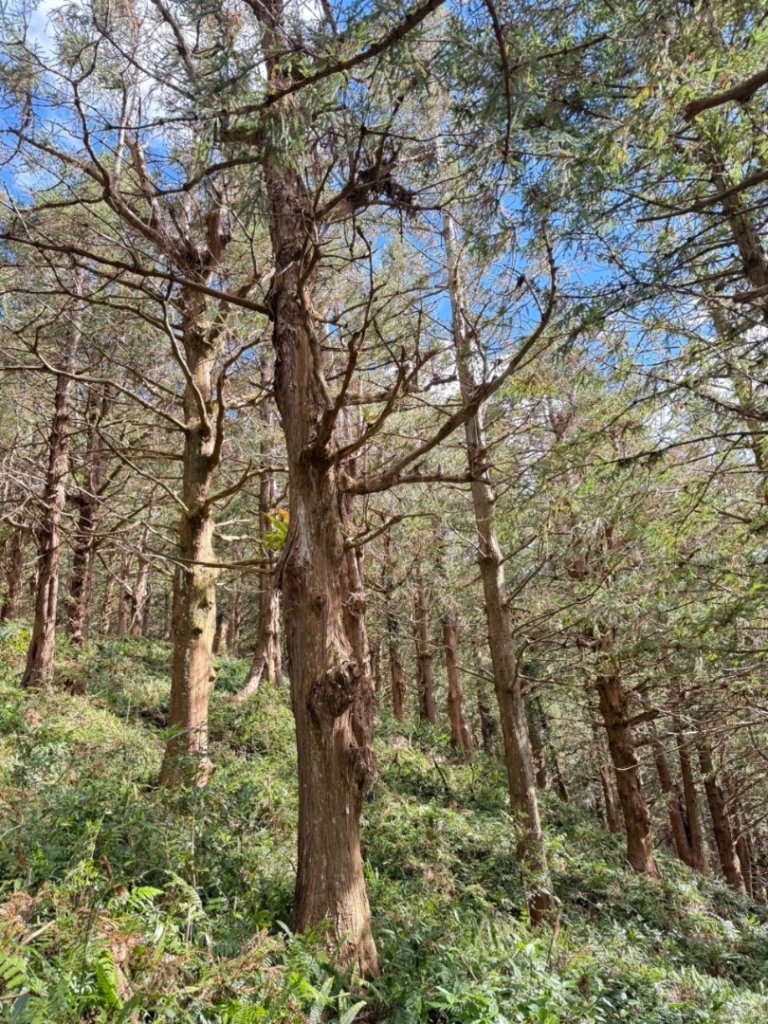 鳶嘴西稜上鳶嘴山-醜崠三崠山連走_2656862