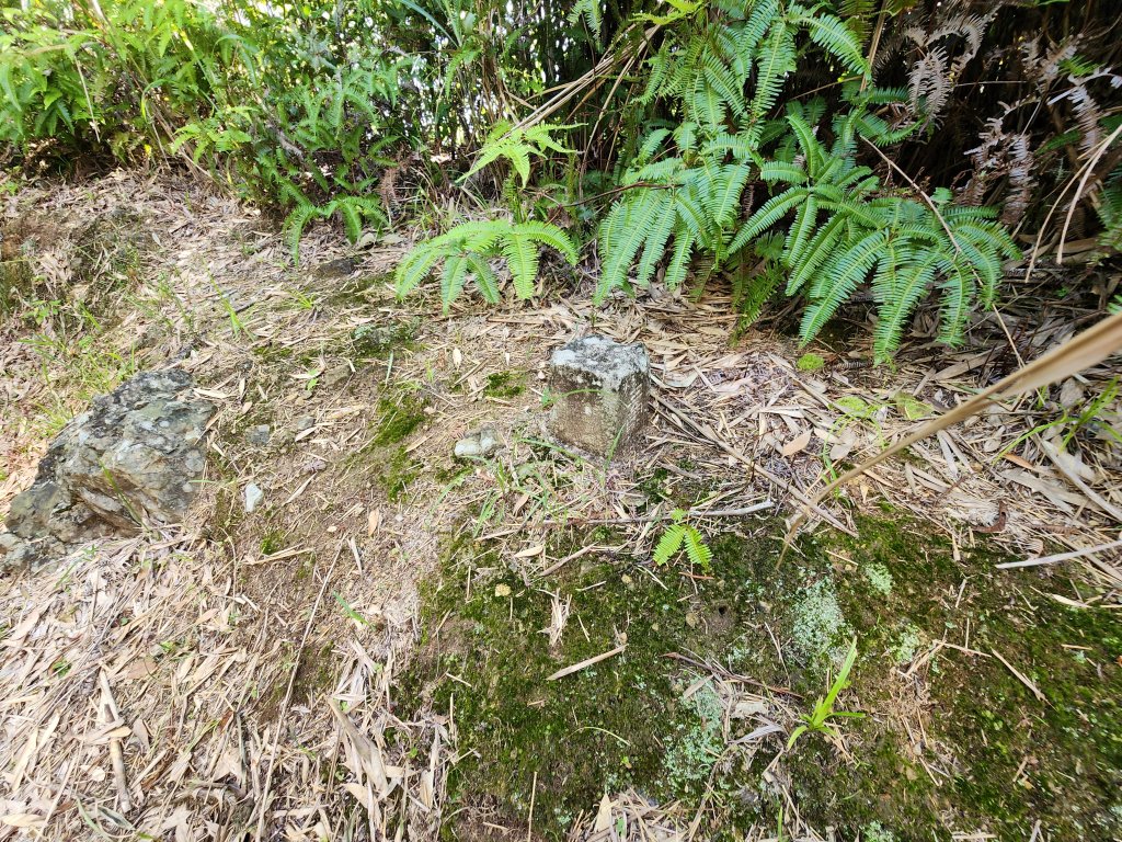 20240804鬼澤山、梅山、梅后蔓瀑布_2613416