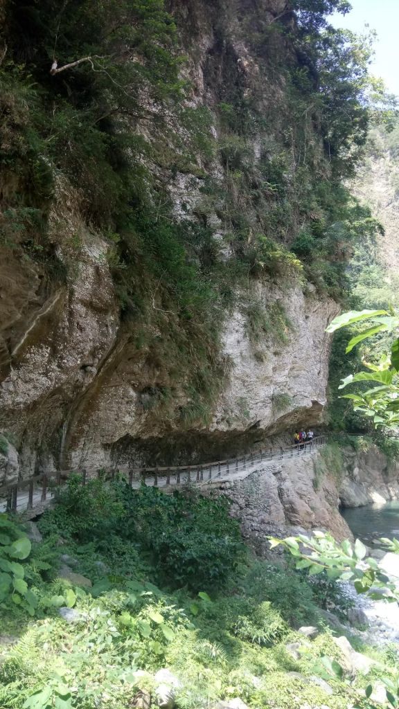 砂卡噹+白楊步道一日健走_335315