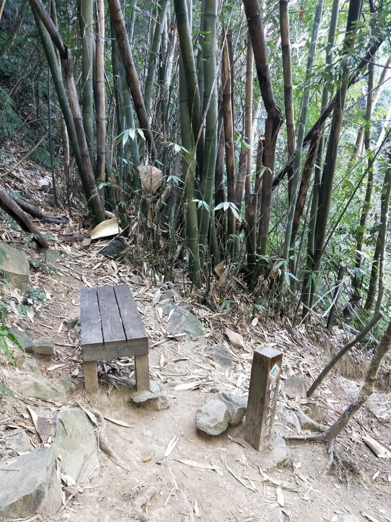 步道巡訪員│白毛山步道2月巡訪日誌_848082