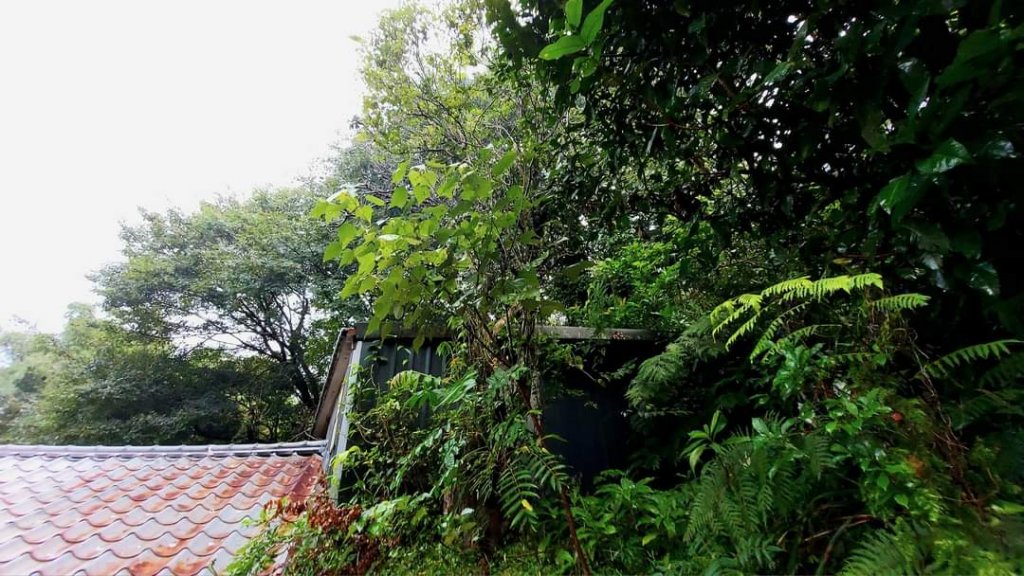 小百岳NO.14 深坑土庫岳。更寮古道 山豬窟尖，小南港山，南港山水綠生態公園_2257276