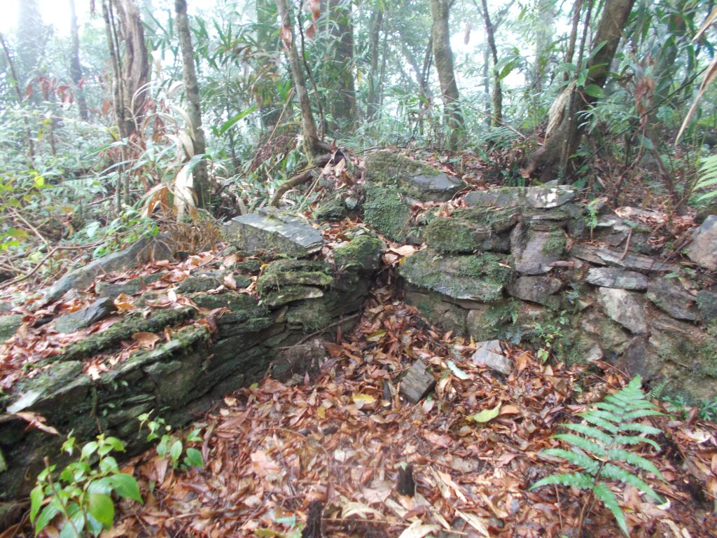 蕃社坑山連走鳳紗山隘勇線_1107149