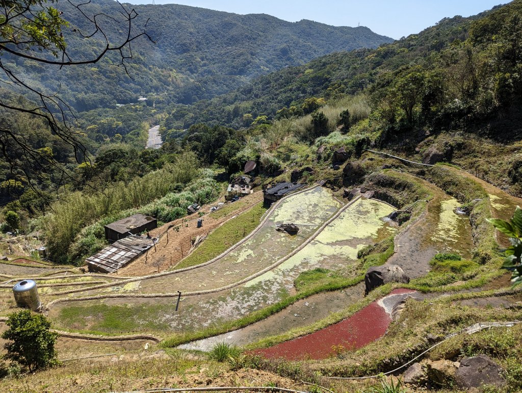 探訪大崎頭梯田、坪頂古圳、新圳源頭_2057309