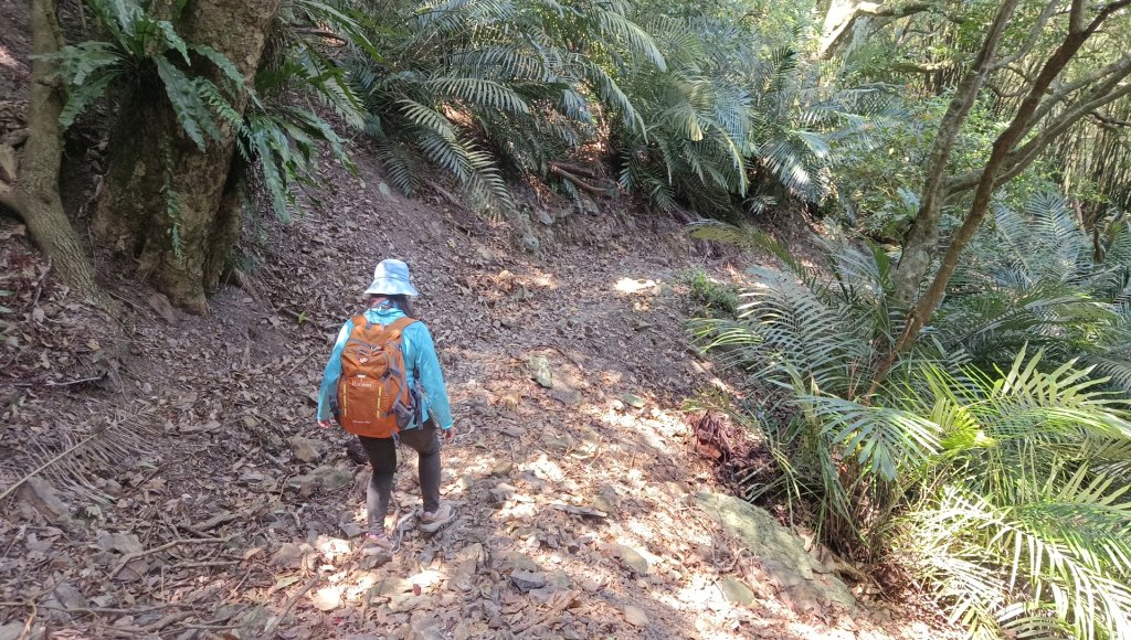 (姨婆趴趴走)第四十九集:攀登連走宜蘭梗枋山、橋板湖山_2747768