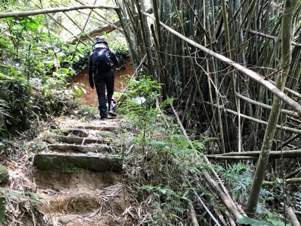 龍鳳連稜少隻鳳_1664452