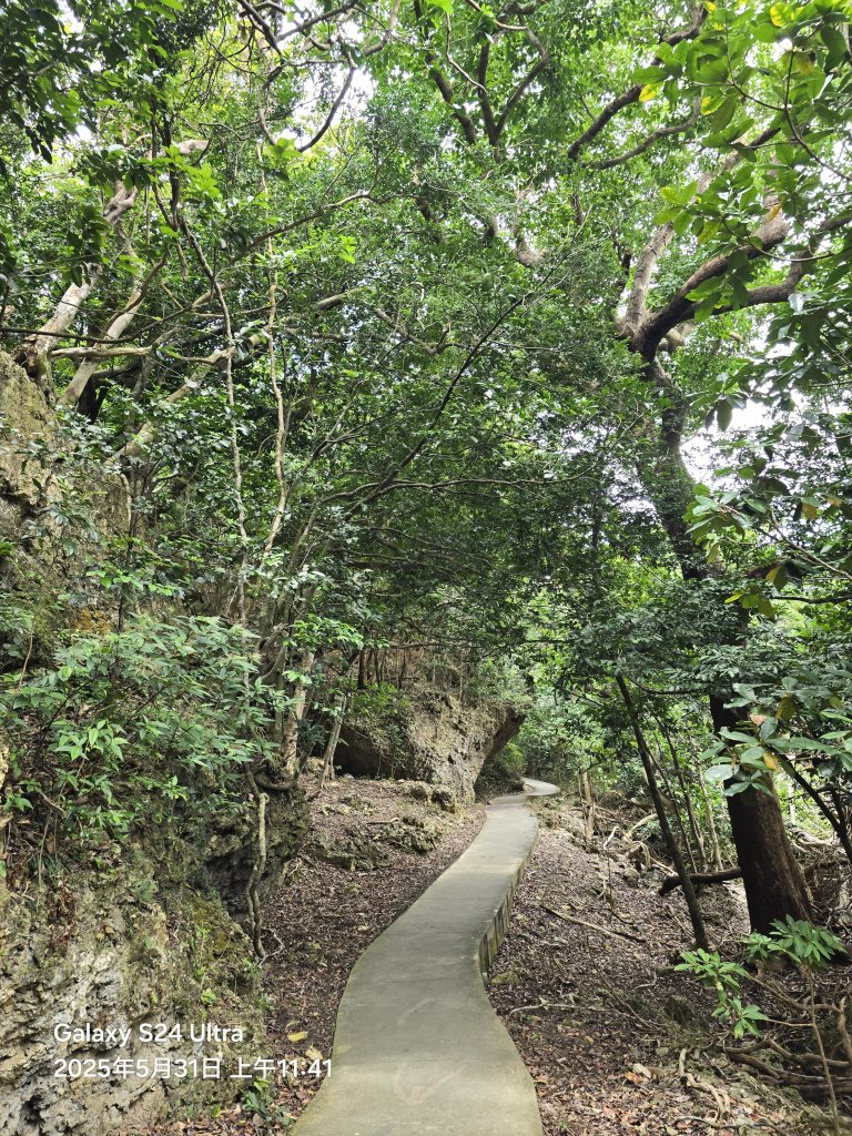 2025-05-31墾丁國家森林遊樂區步道群_2801791