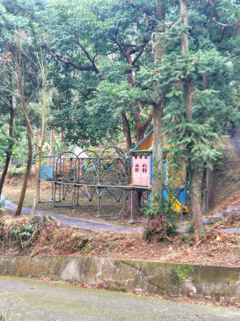 鳳鳴古道 鳳鳴山 南隘勇（南長城）古道 三湖山 八達嶺（龍骨）古道 綠色古道 延平古道_2975243