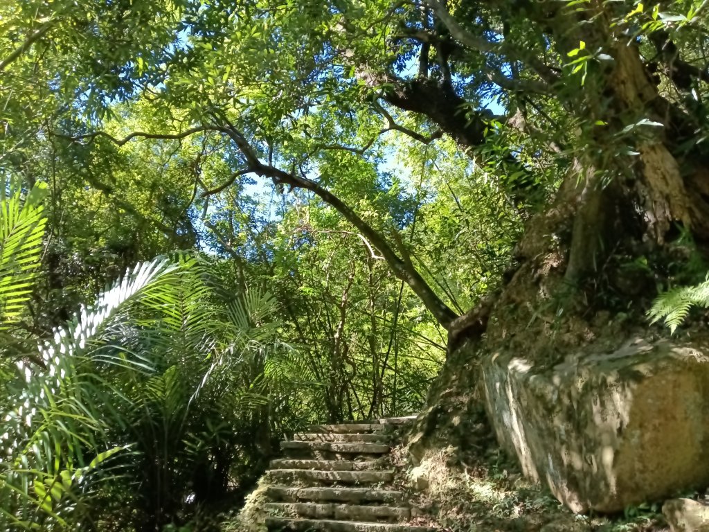 汐止區白雲古道+白雲寺O型_2911958