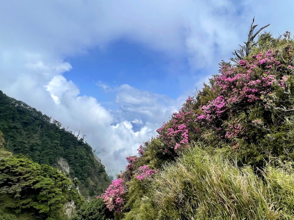 南橫雙星(關山嶺山+塔關山)20220521_1722191