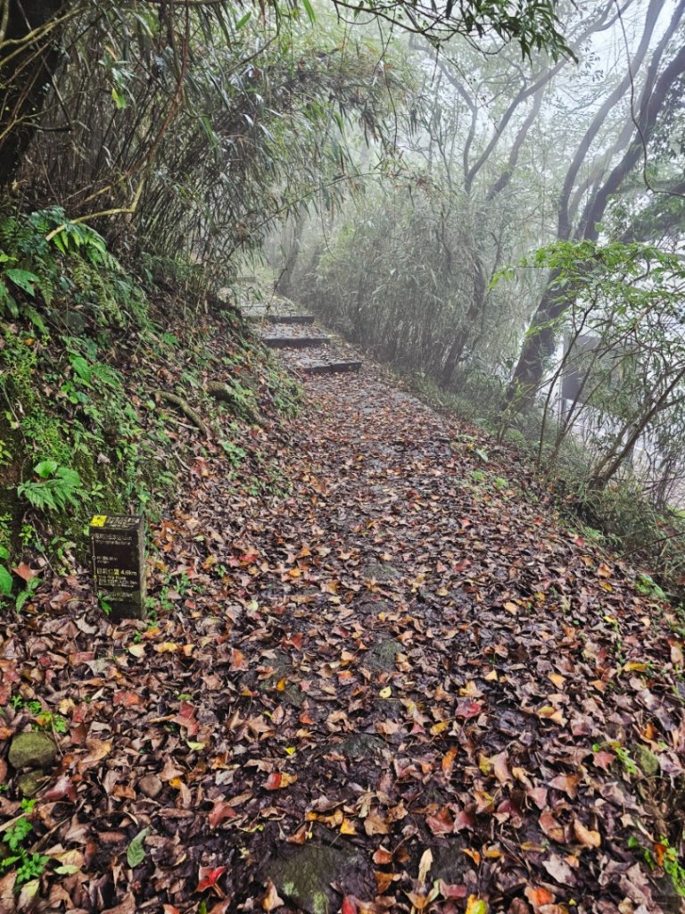 2025臺北大縱走第二段：二子坪至小油坑_2973499