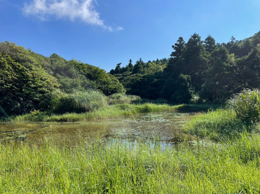 竹篙山山腰古道封面圖