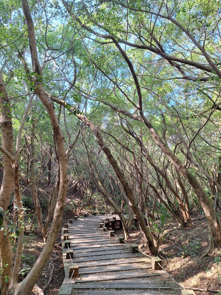 大肚環保公園步道+大尖山+萬里長城步道萬里長城步道20251207封面圖