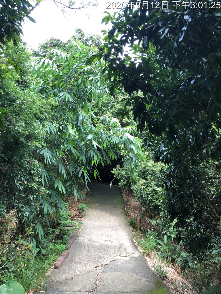 台灣小百岳No.043 三汀山_1103384