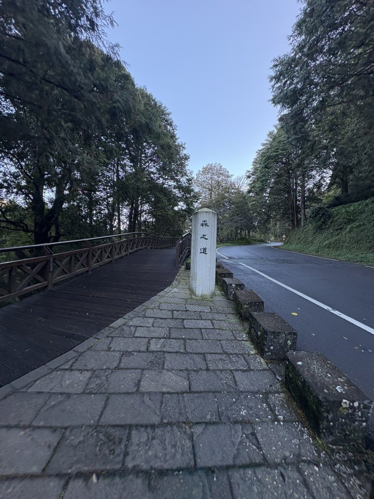 20251225塔山步道(大塔山)_2970224