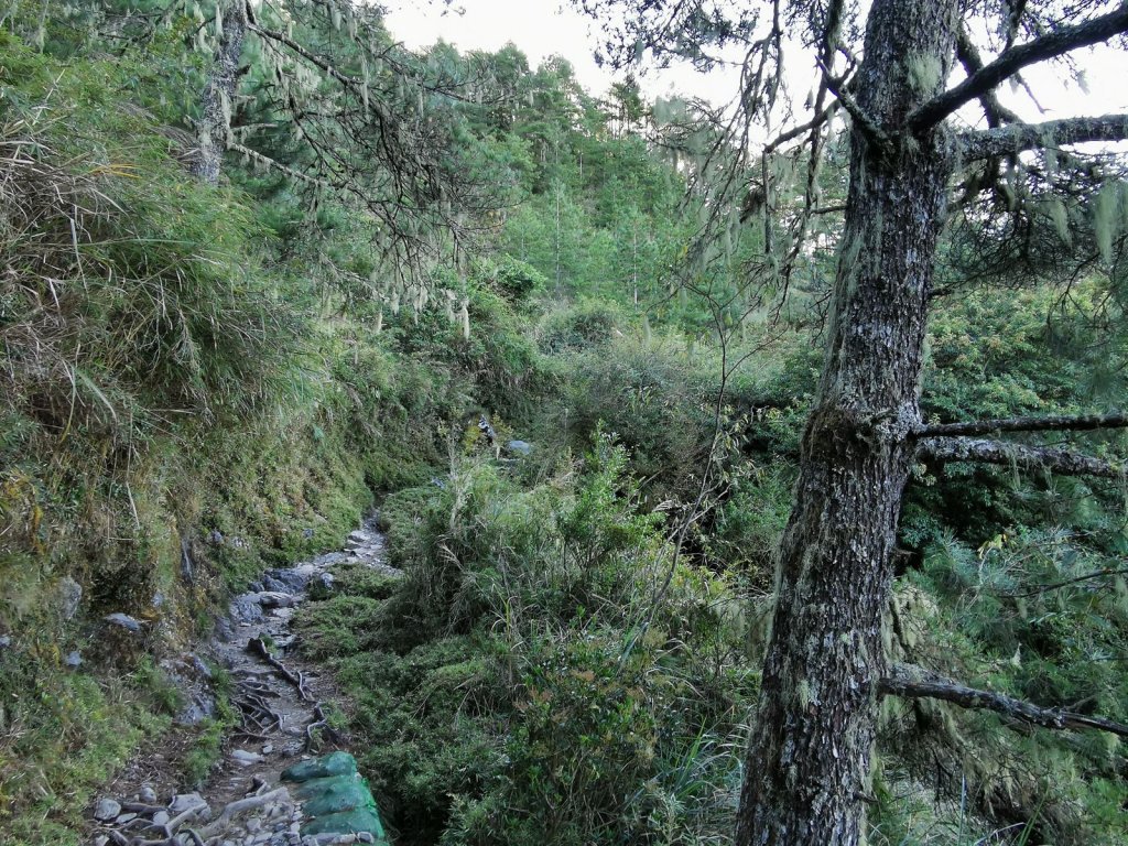 遇見神獸 - 固拉多 - 玉山主東後四峰_1187662